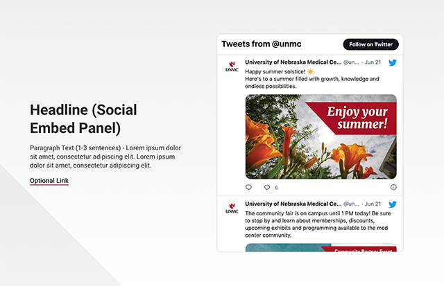 Social Embed Panel screenshot