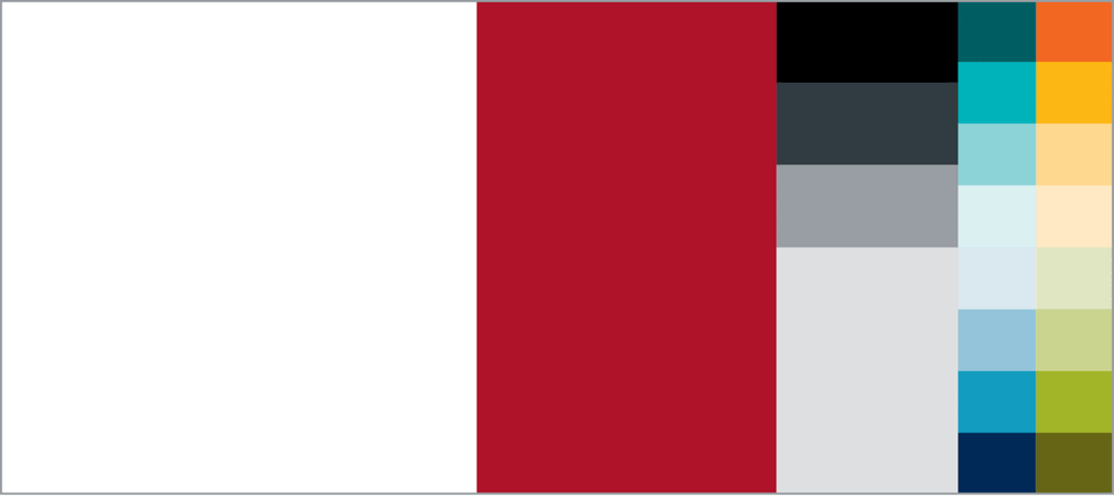 color palette